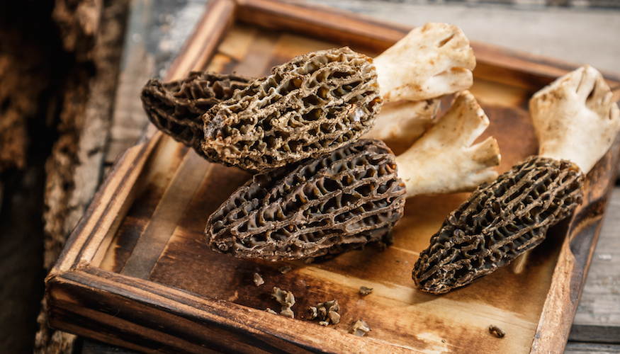 dried morel mushrooms