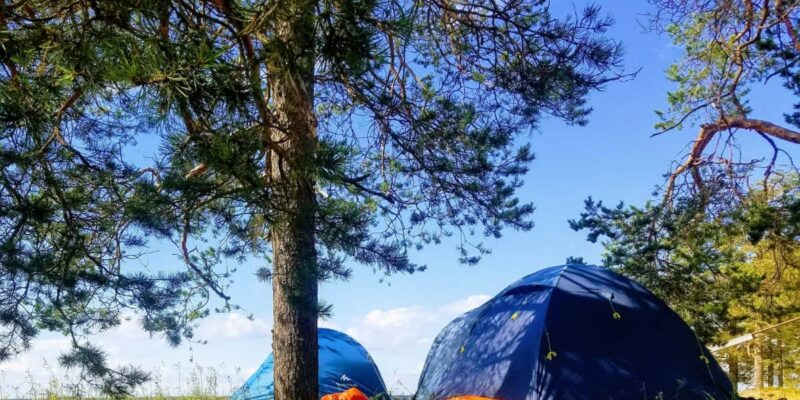 A photo of two tents during a spring camping trip