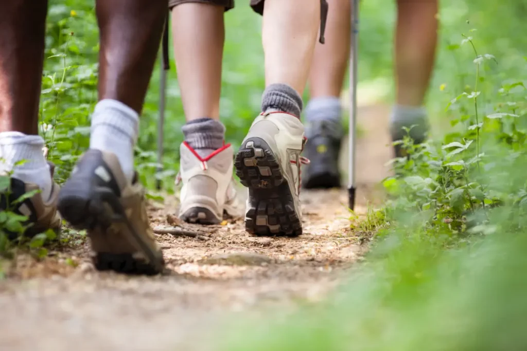 a photo of lower legs and feet of a group of hikers
